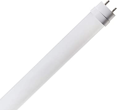 Basics 17 Watt 36,000 Hours 2100 Lumens LED T8 Light Bulb - 4 Foot, Pack of 12, Cool White